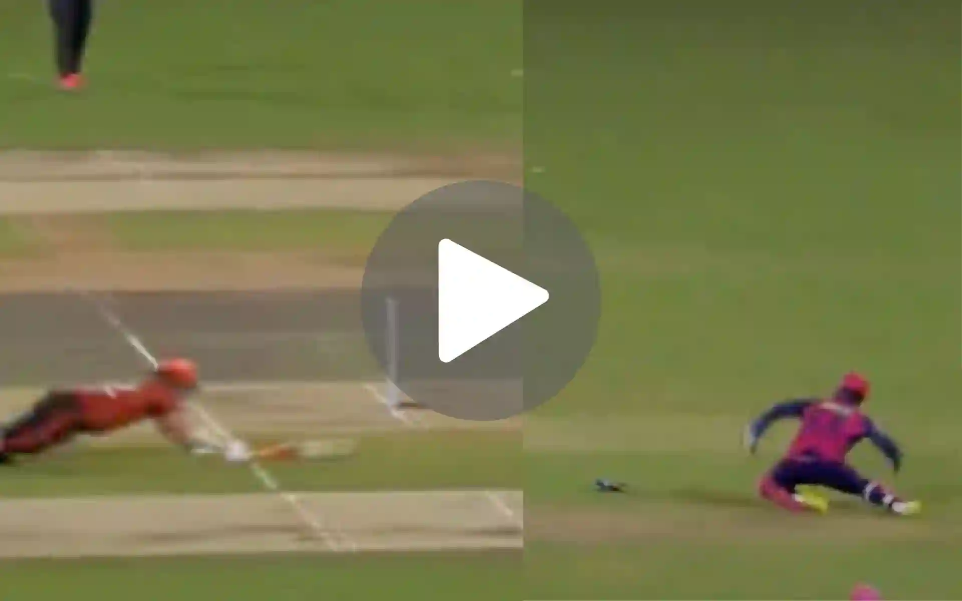 [Watch] Samson's Brain Fade Moment While Stumping Allows Head Survive; Ashwin Fumed
